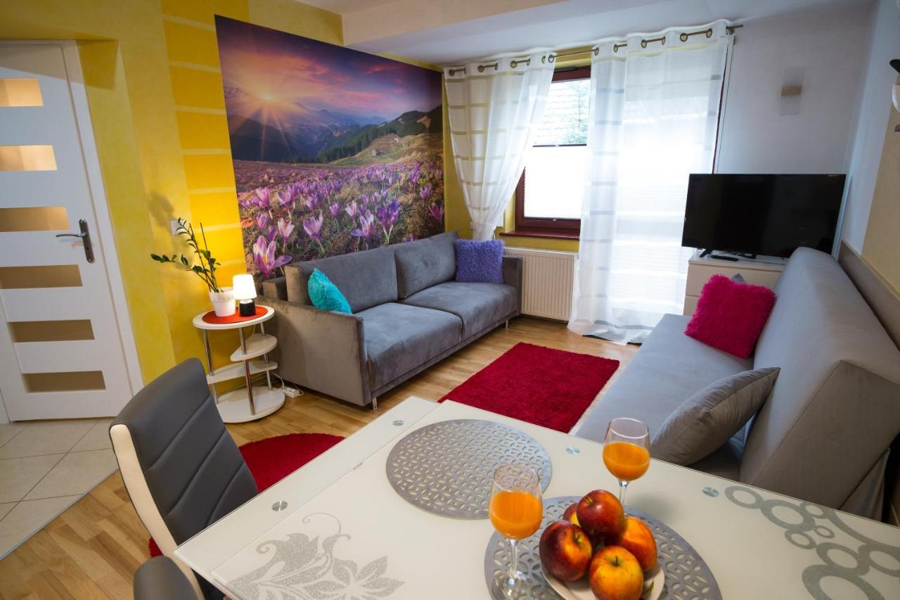 Apartament Promyk Pod Lipkami Apartzakop Ζακοπάνε Εξωτερικό φωτογραφία